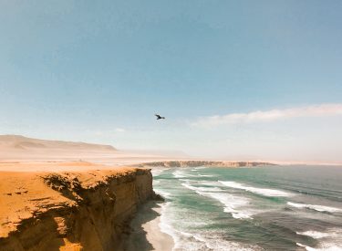 Daniela Vilca, Calma (2019)